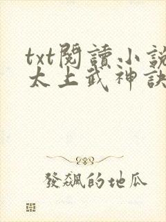 txt阅读小说太上武神诀