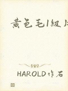 黄色毛1级片