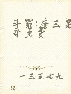 斗罗:唐三是我哥免费