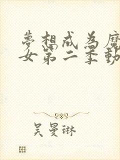 梦想成为魔法少女第二季动画免费观看全集