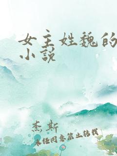 女主姓魏的古言小说