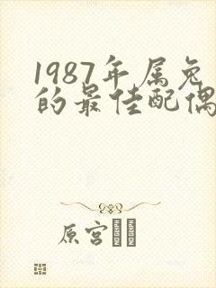 1987年属兔的最佳配偶属相