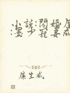 小说:闪婚厚爱:墨少宠妻成瘾