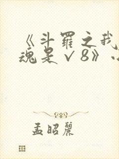 《斗罗之我的武魂是√8》小说