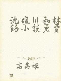 沈砚川和林娇娇的小说免费阅读