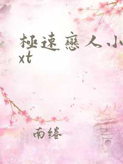 极速恋人小说txt