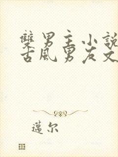 双男主小说免费古风男友文