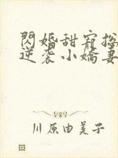 闪婚甜宠总裁的逆袭小娇妻