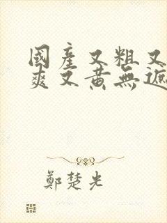 国产又粗又猛又爽又黄无遮