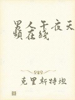 男人午夜天堂视频在线