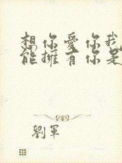 想你爱你我却不能拥有你是什么歌