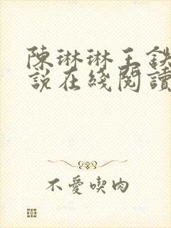 陈琳琳王铁飞小说在线阅读