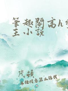 笔趣阁高h双男主小说