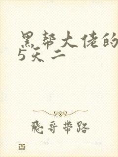 黑帮大佬的365天二