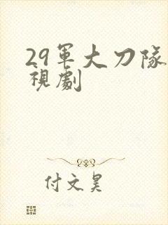 29军大刀队电视剧