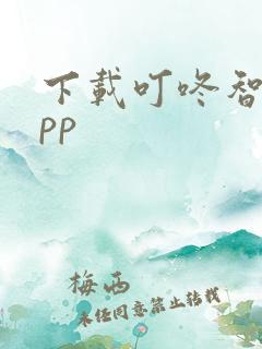 下载叮咚智家app