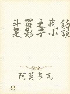 斗罗之我的武魂是影子小说