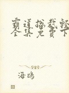 霸道总裁轻点爱全集免费下拉式漫画