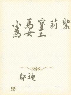 小马宝莉紫悦成为女王