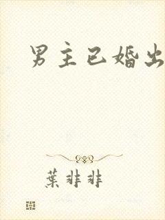 男主已婚出轨