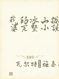 我的冰山总裁老婆完整小说