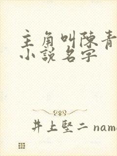 主角叫陈青阳的小说名字