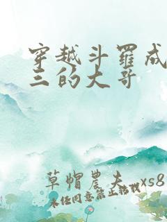 穿越斗罗成了唐三的大哥