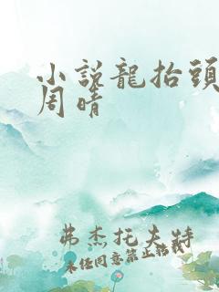 小说龙抬头张龙周晴