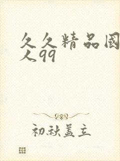 久久精品国产成人99