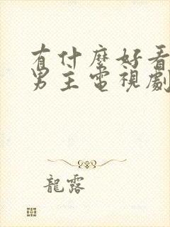 有什么好看的双男主电视剧