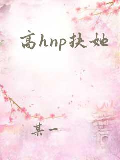 高hnp扶她