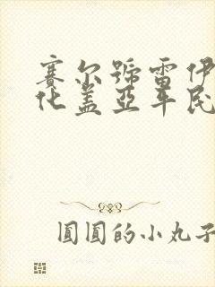 赛尔号雷伊超进化盖亚平民打法