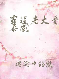 霸道老大爱上我泰剧