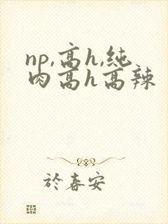 np,高h,纯肉高h高辣