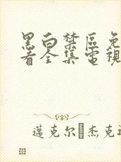 黑白禁区免费观看全集电视剧