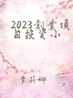 2023创业项目投资小