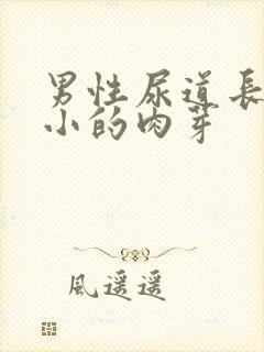 男性尿道长特别小的肉芽