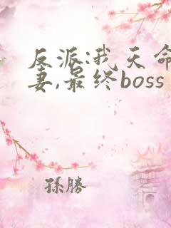 反派:我天命旺妻,最终boss