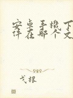 安卓手机下载文件在哪个文件夹