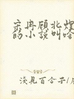 宋冉顾北煜苏月的小说叫啥