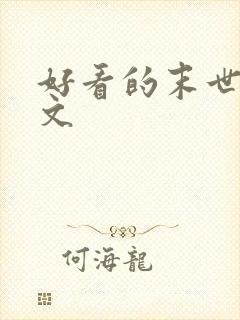 好看的末世空间文