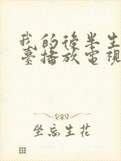 我的后半生哪个台播放电视剧