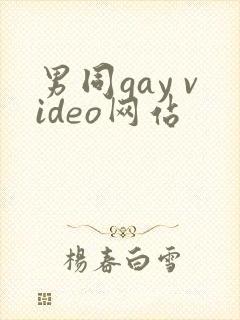 男同gay video网站