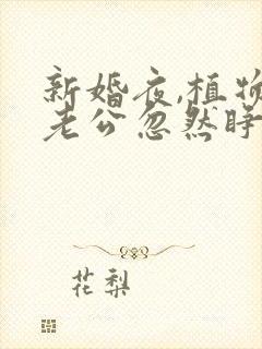 新婚夜,植物人老公忽然睁开眼全文阅读全文