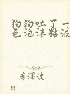 狗狗吐了一滩白色泡沫粘液怎么办