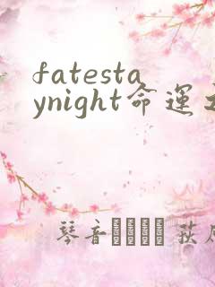 fatestaynight命运之夜