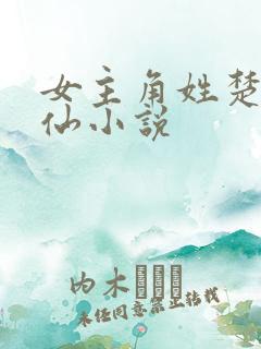 女主角姓楚的修仙小说