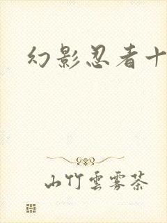 幻影忍者十五季