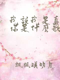 我说我是真的爱你是什么歌的歌词