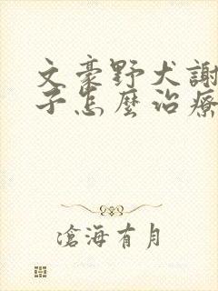 文豪野犬谢野晶子怎么治疗